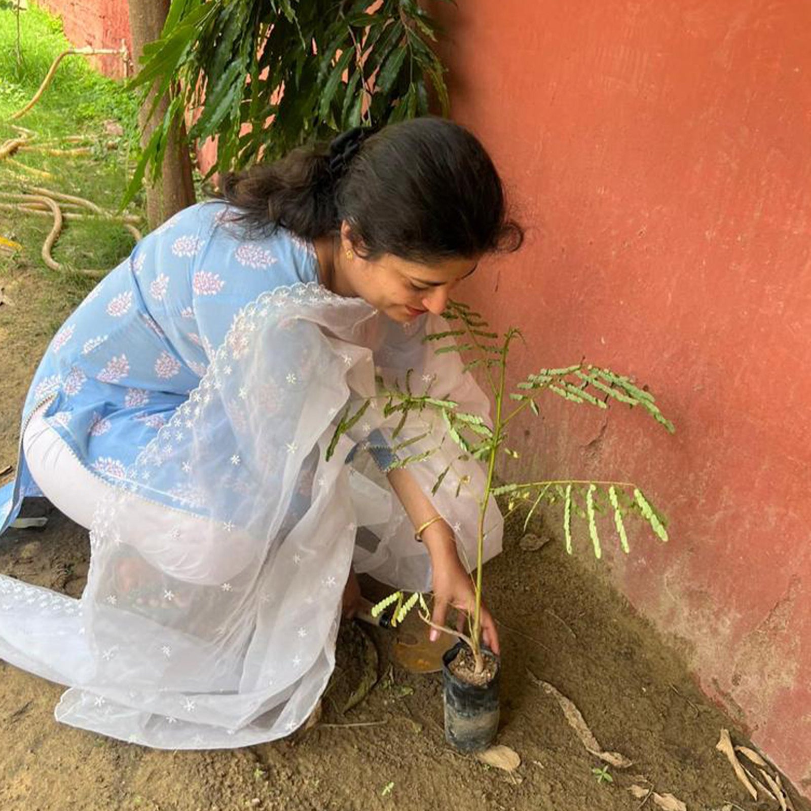 About the Green Rajasthan Initiative